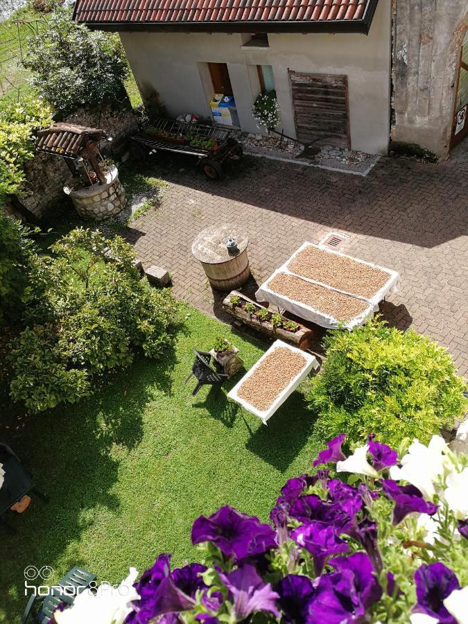 Limana Agriturismo Antica Pieve מראה חיצוני תמונה